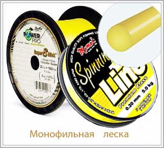 фото сечения монолески
