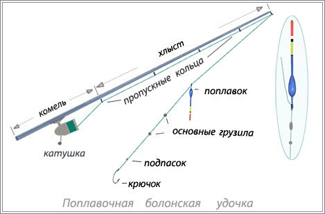 фото болонской удочки