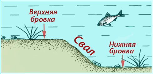 изображение-схема "где ловить белоглазку"