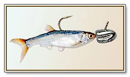 tylka