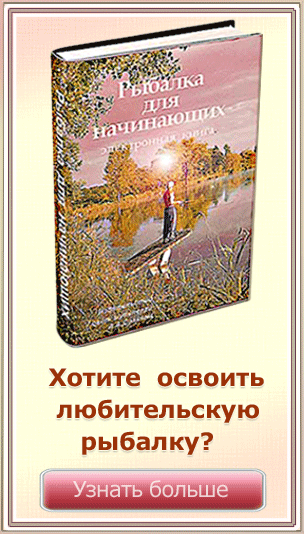 изображение электронной книги 